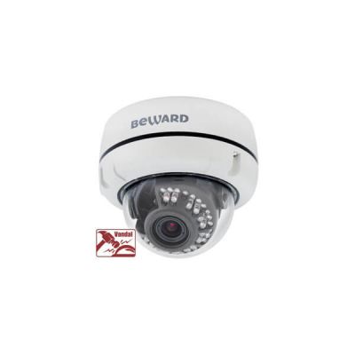 B1510DV, IP-видеокамера